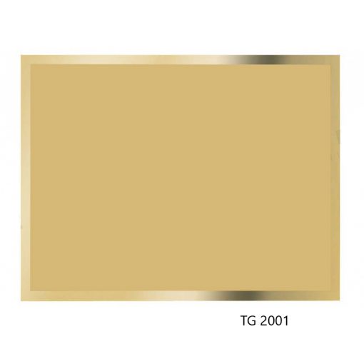 TG2001