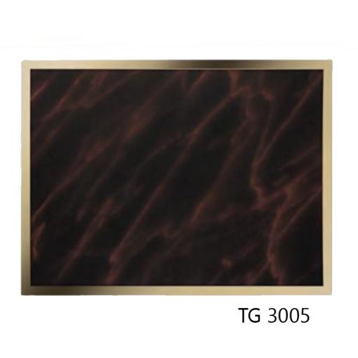 TG3005